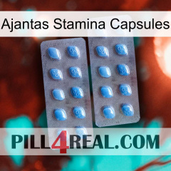 Ajantas Stamina Capsules viagra4